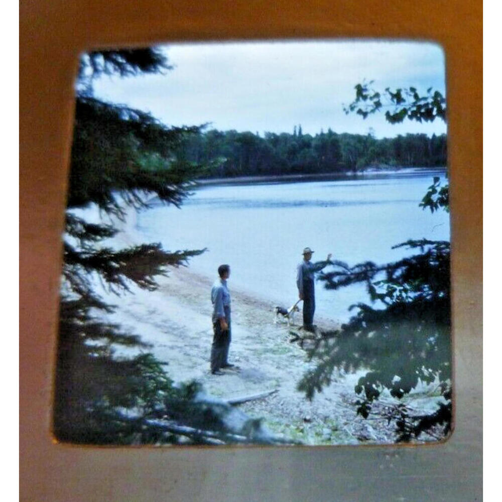Vintage 1949 Stereo Slide Brush Island Swimming Beach Men Dog Photography 1949